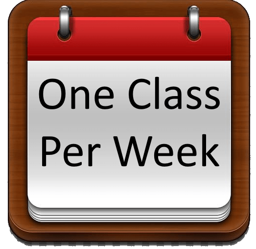 One Class per week membership Clarion MMA