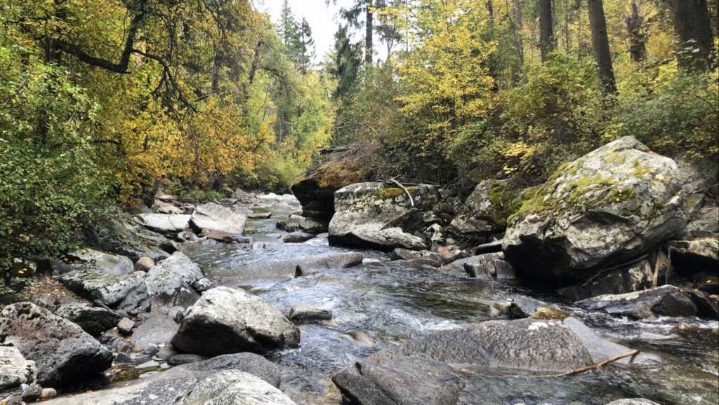 Water Management Clark Fork Coalition
