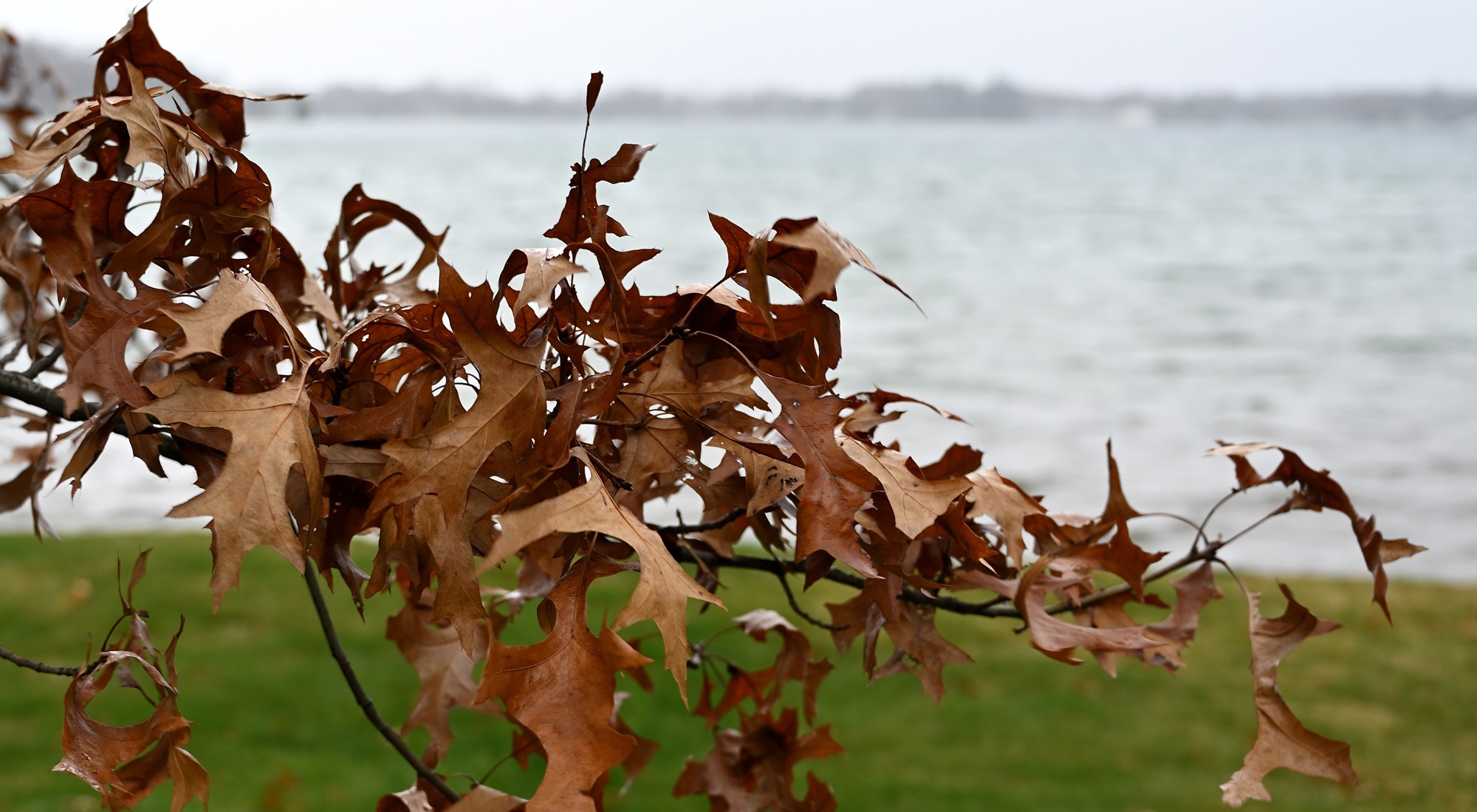 Clark Lake Potpourri Clark Lake Spirit Foundation