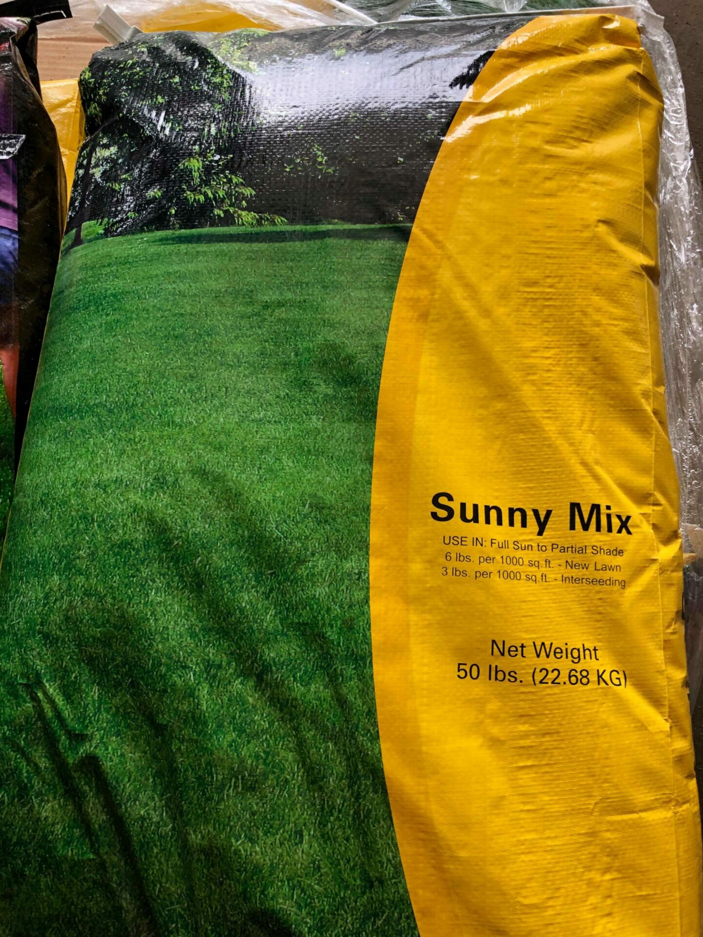 Sunny Grass Seed Mix, 50 lb. Bag Rensselaer Landscaping, Lawn Care