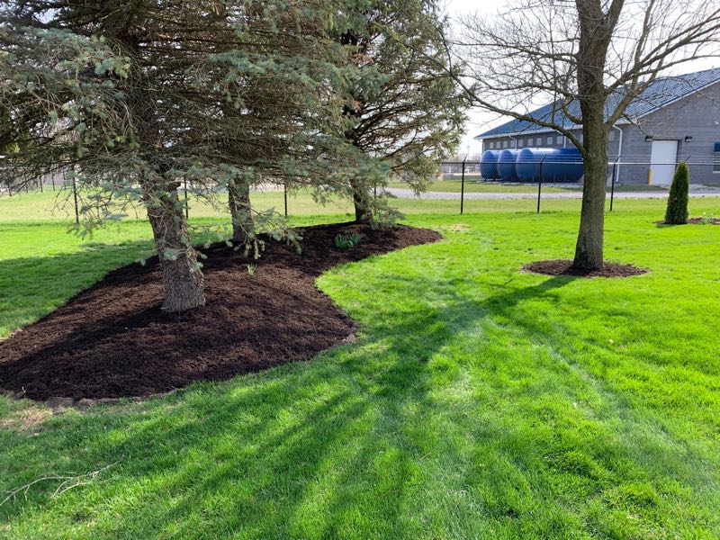 Enhanced Bark Mulch Lafayette Landscaping, Lawn Care and Fertilizing