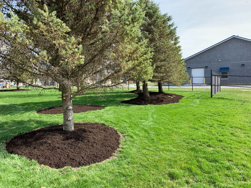 Enhanced Bark Mulch Lafayette Landscaping, Lawn Care and Fertilizing