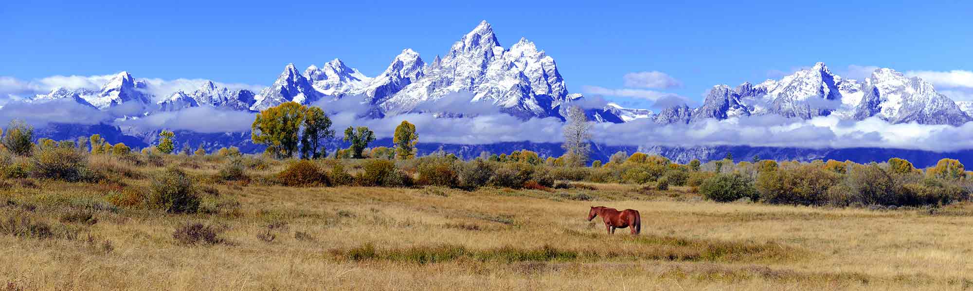 wyoming Clark Simson Miller