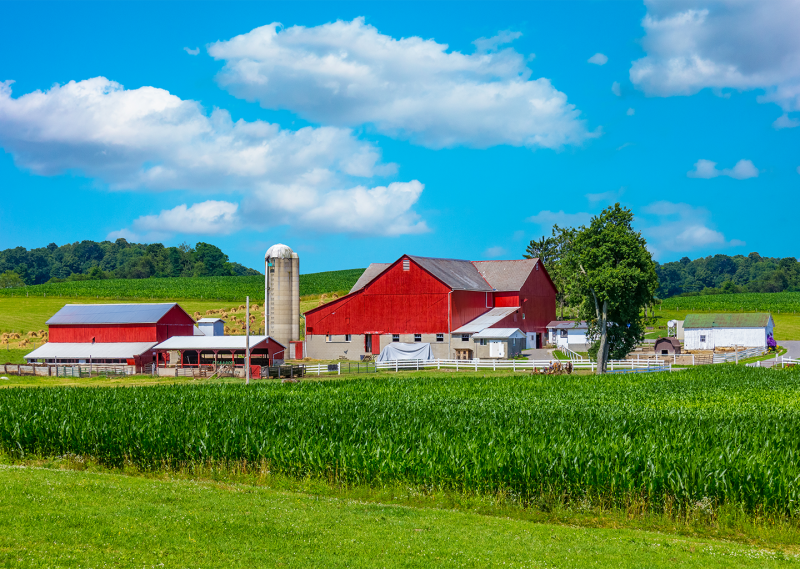 Clarkson Grain Company NonGMO and Organic Grains