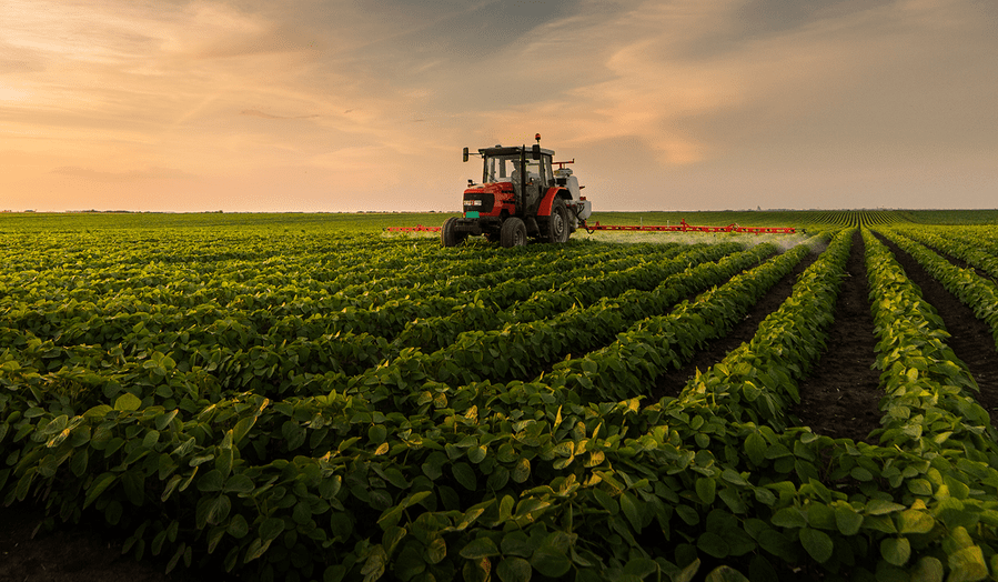 Clarkson Grain Company Clarkson Grain Organic Soybeans in Bulk