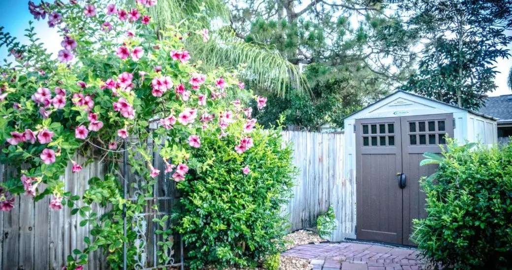 Shed Drawbacks Should You Rent a Storage Unit? Clark Storage