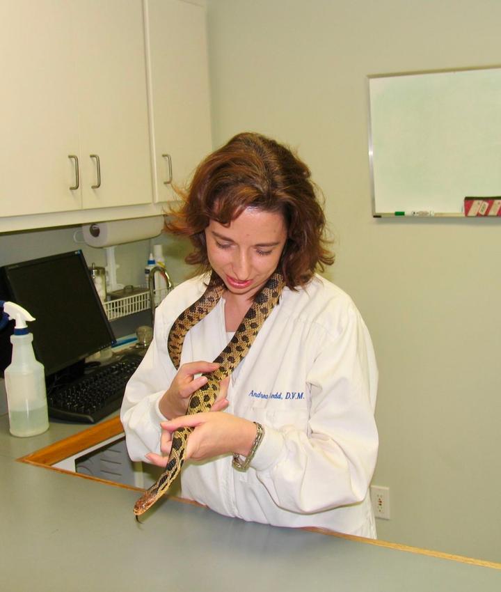 Dr. Andrea Redd, DVM Clarksville Veterinary Clinic