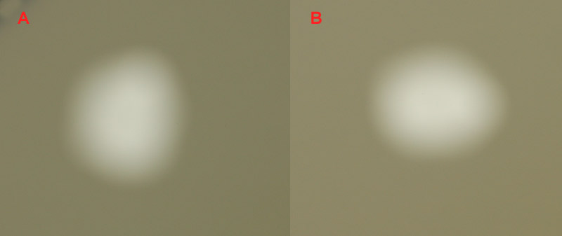 Evaluating Filter Quality