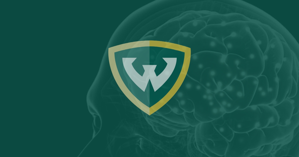 Bachelor of Science in Neuroscience Neuroscience Wayne State University
