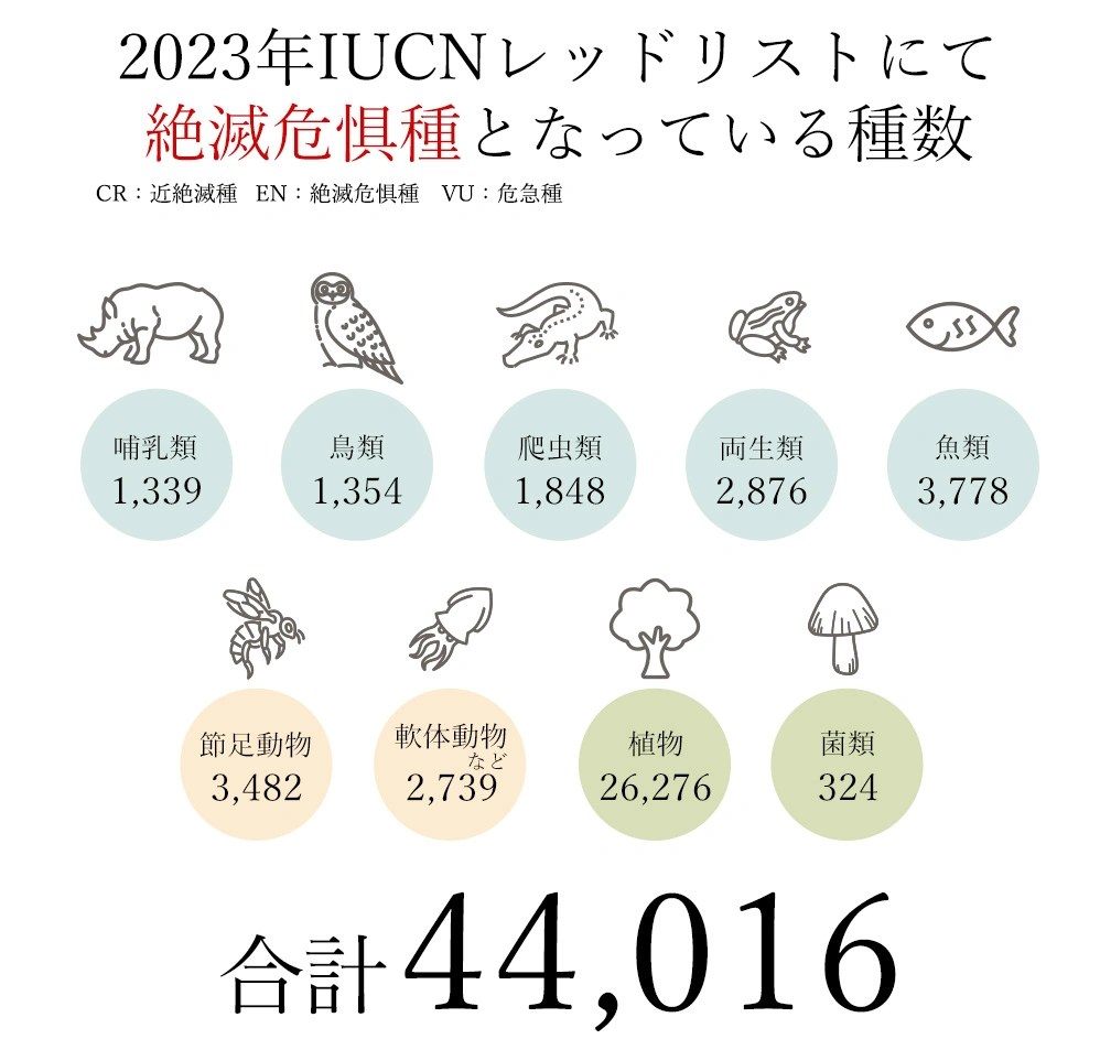 2023年版IUCNレッドリスト、過去最多の絶滅危惧種と保全活動による希望 CLASS EARTH