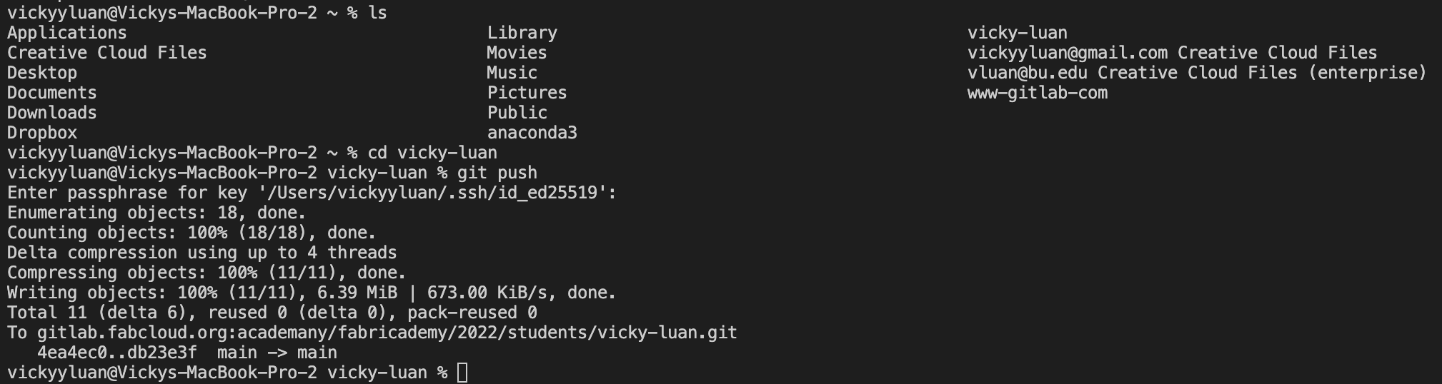 Troubleshooting V I C K Y + L U A N