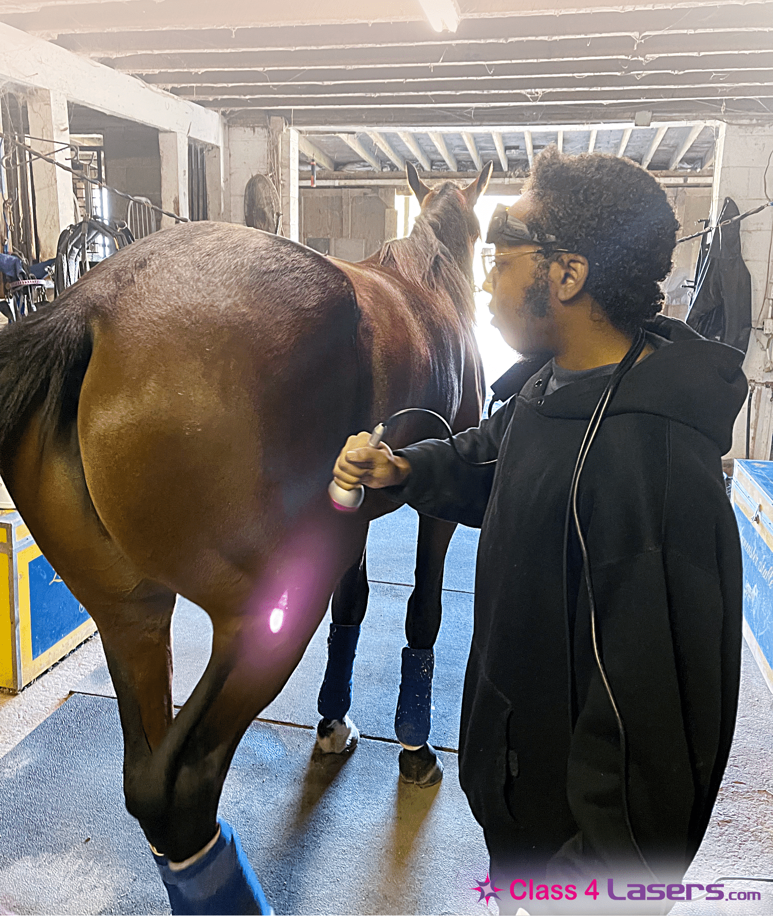 Equine Laser Therapy Devices for Horses Featuring Remy VET30 Class 4