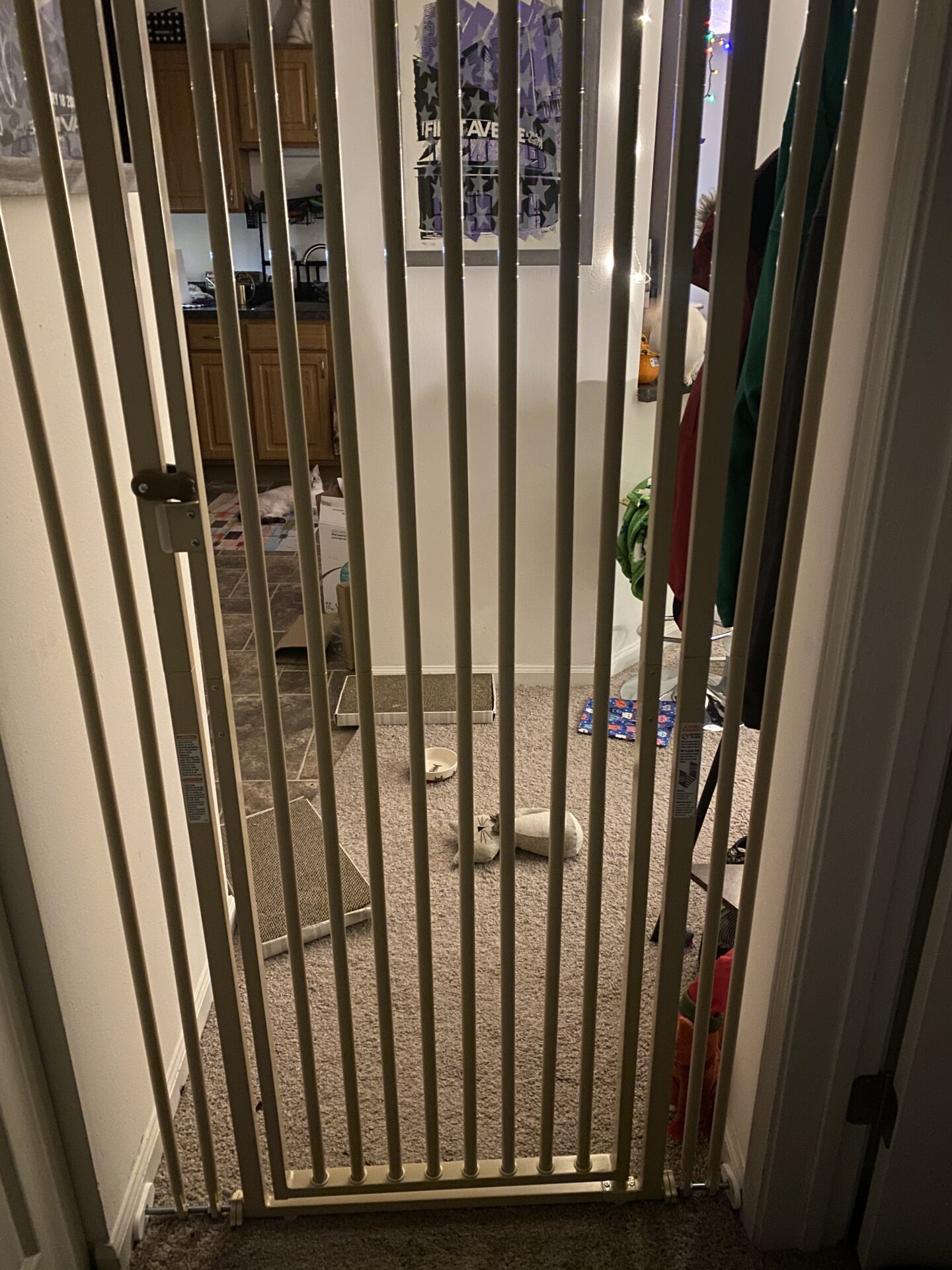 Richell Cat Safety Gate Review