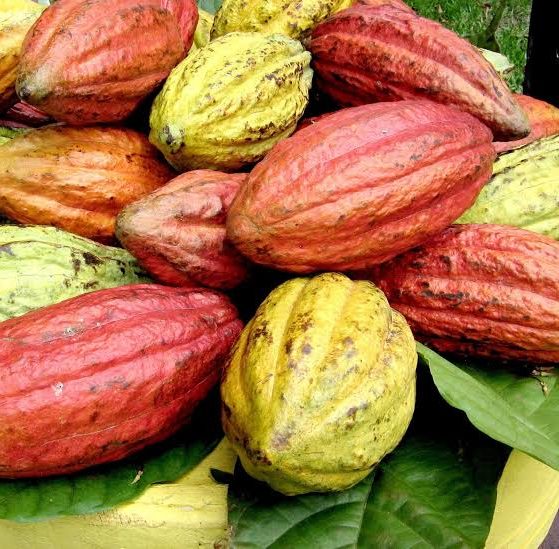 Nigerian and Foreign Made Goods (Primary 6) ClassRoomNotes