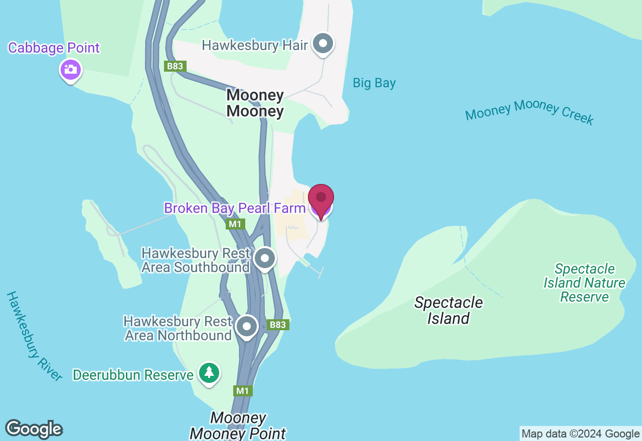 Secrets of Pearl Oysters Sydney Experiences Gifts ClassBento