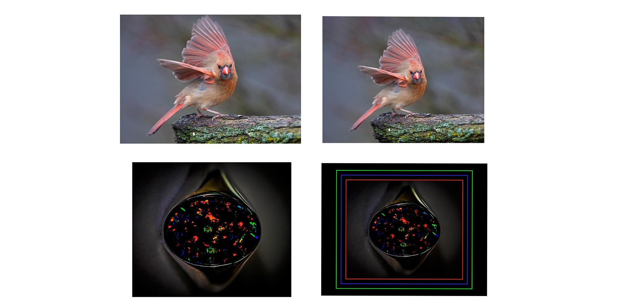 Cropping, Matting, and Image Expanding Techniques in Lightroom or