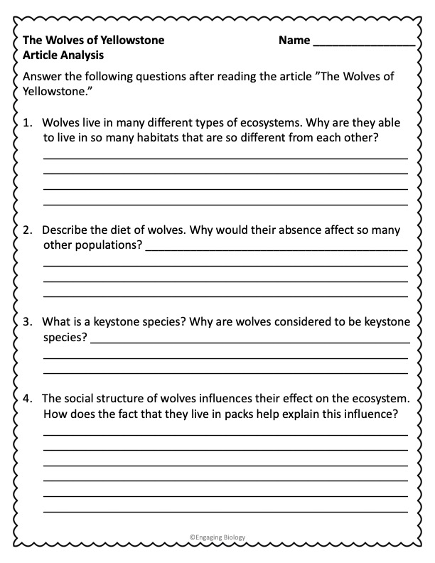 How Wolves Change Rivers Video Viewing Guide Classful