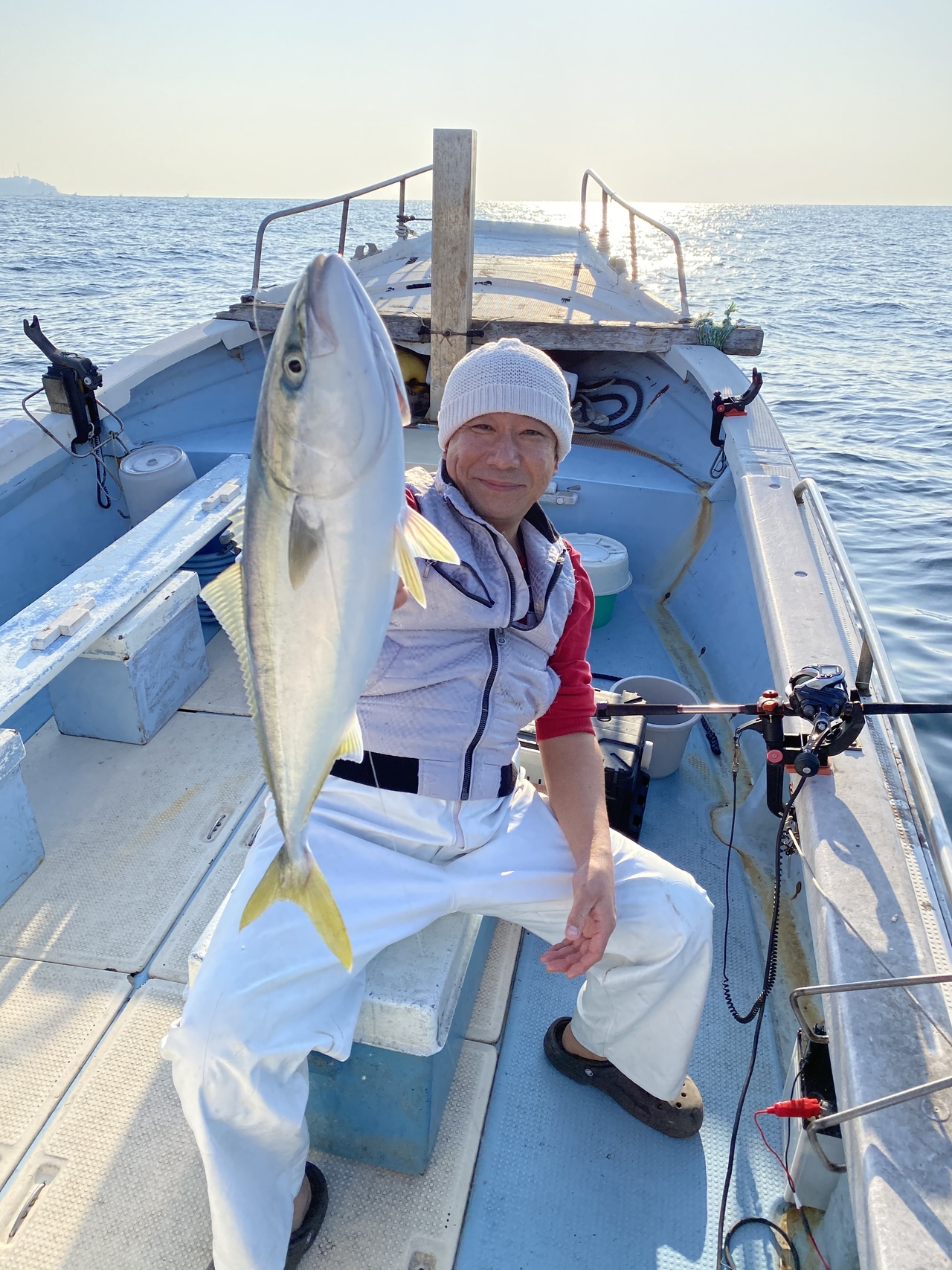 ワラサの釣果｜2020年11月17日｜安菜丸（静岡県/網代港）｜釣割