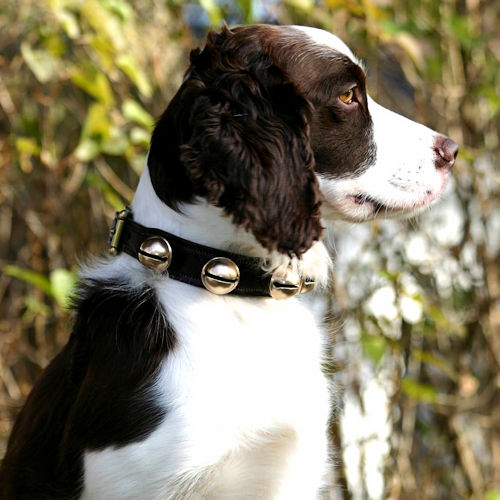 Classic Bells About us