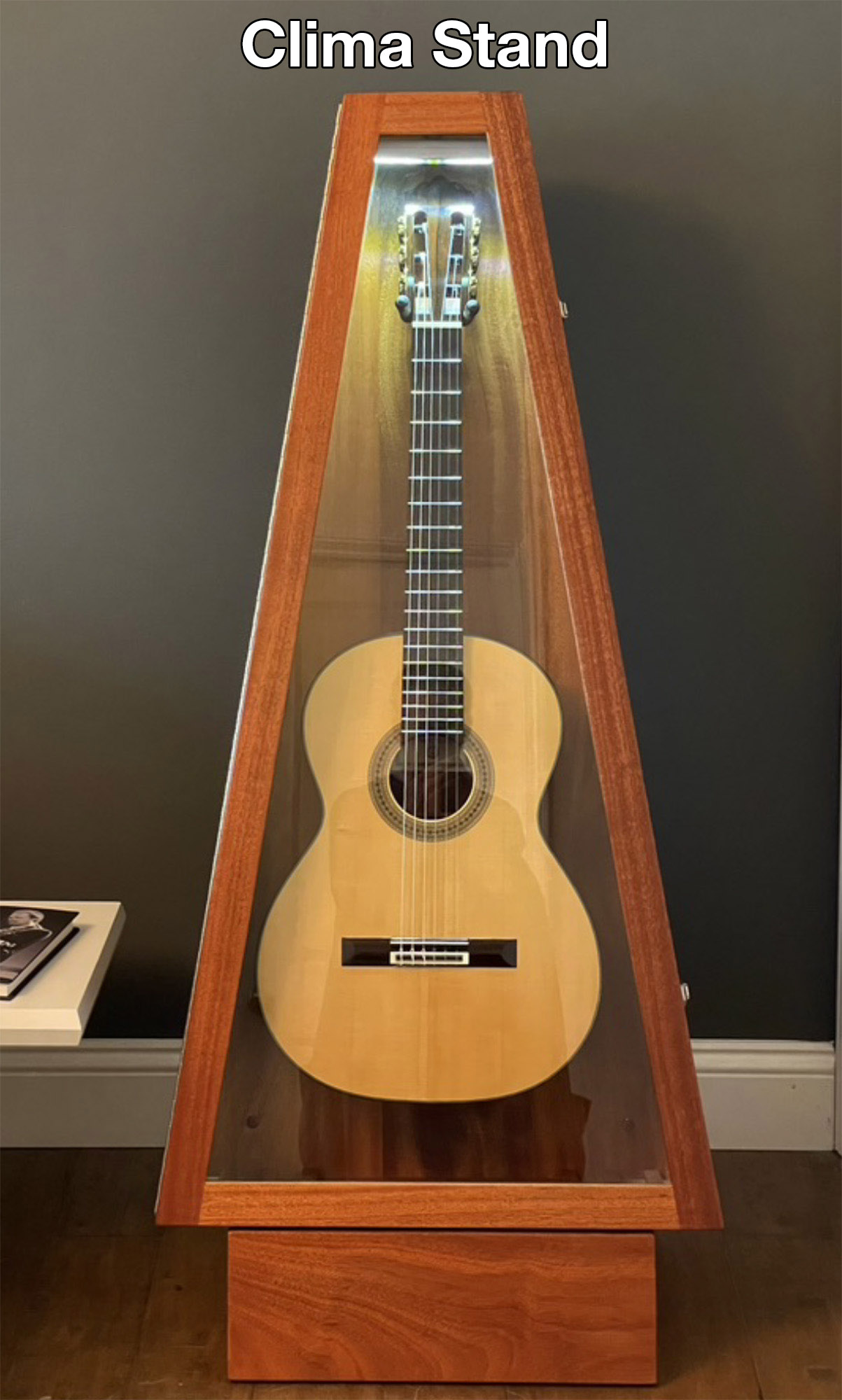 Humidity Controlled Guitar Matttroy