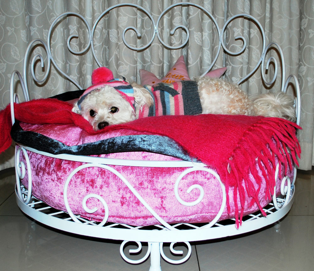 Princess Classic Metals