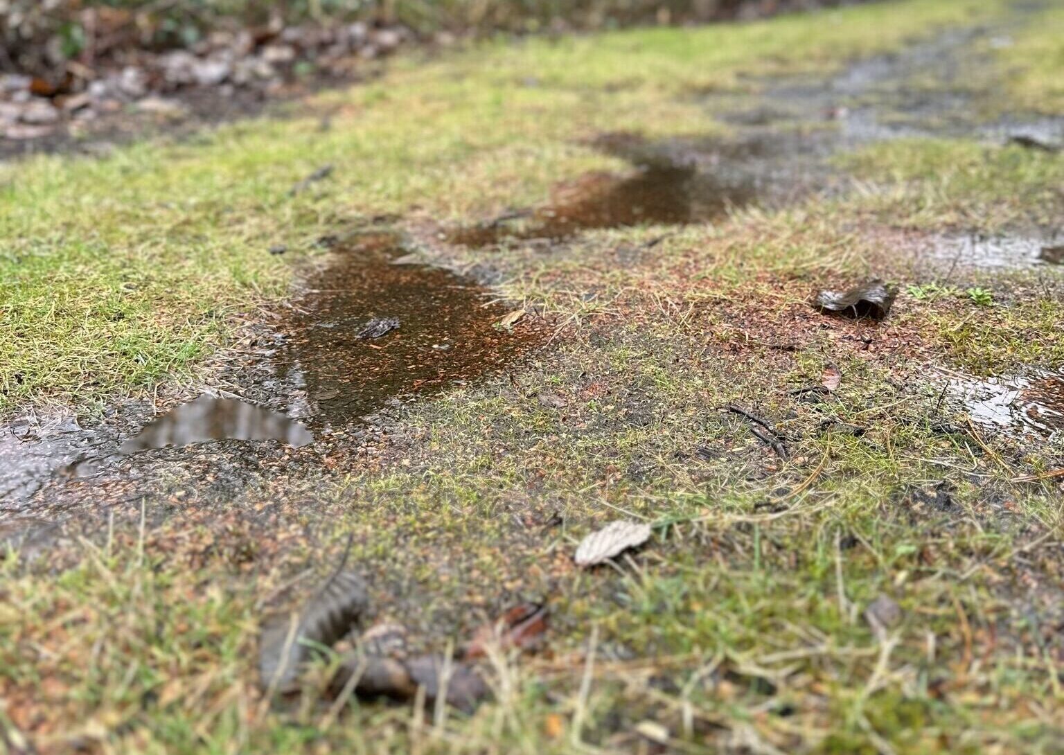 Rainwater does not have to be an inconvenience