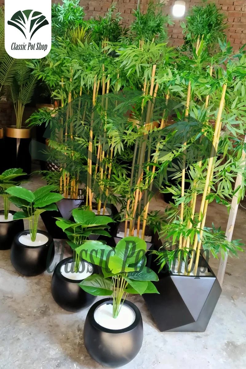 أزرع فى أحواض زرع بلاستيكية معرض كلاسك بوت