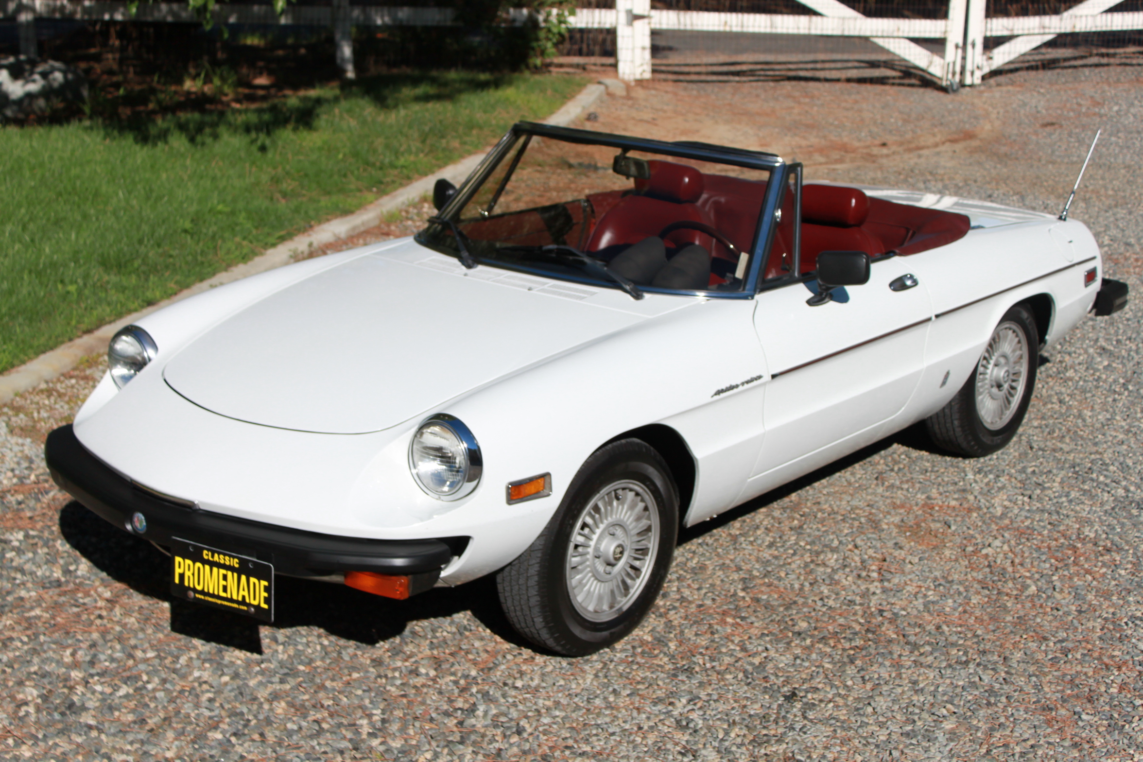 1981 Alfa Romeo Spider Veloce, SoCal Car, Great fun! Classic Promenade