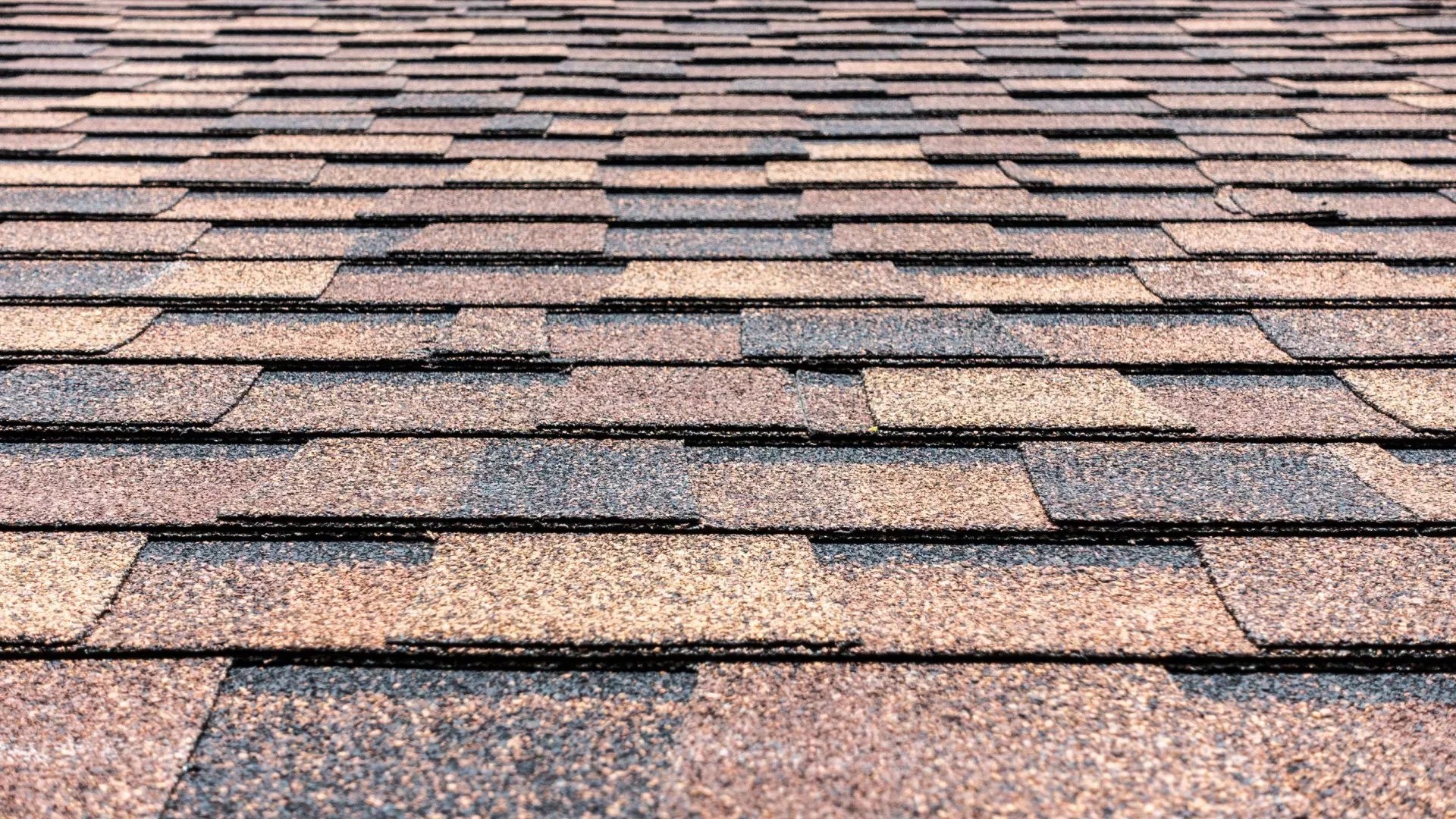 Best Types of Asphalt Roof Shingles in Florida Classic Roofing