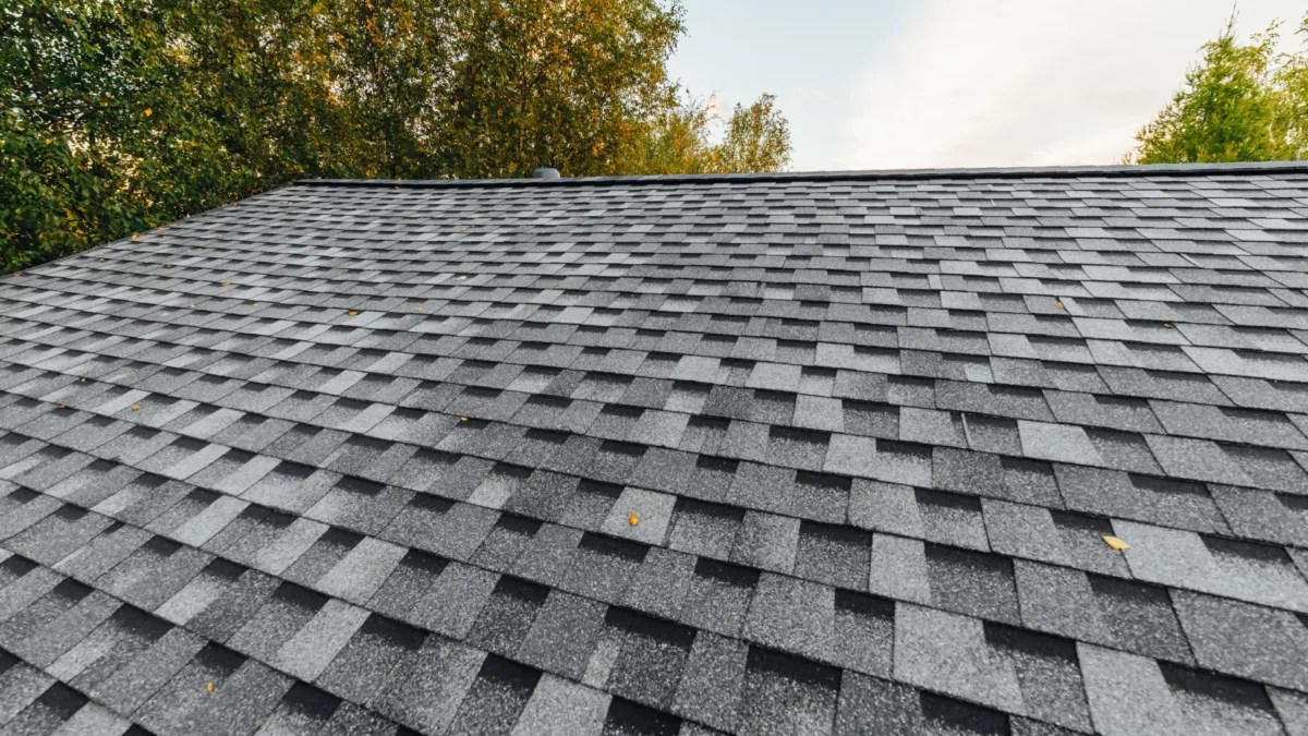 GAF Shingle Reviews Best Shingles for Tampa Bay? Classic Roofing