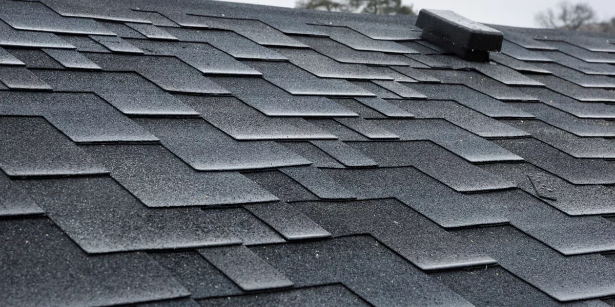 GAF Shingle Reviews Best Shingles for Tampa Bay? Classic Roofing