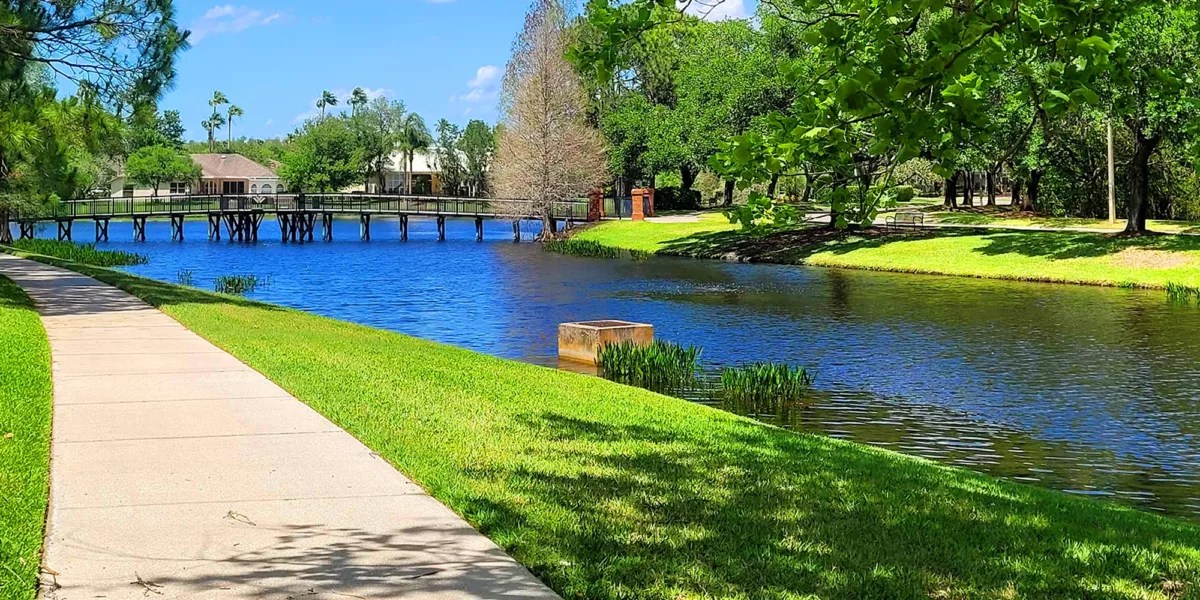 Elevate Your Roofing Experience in Westchase, Florida Classic