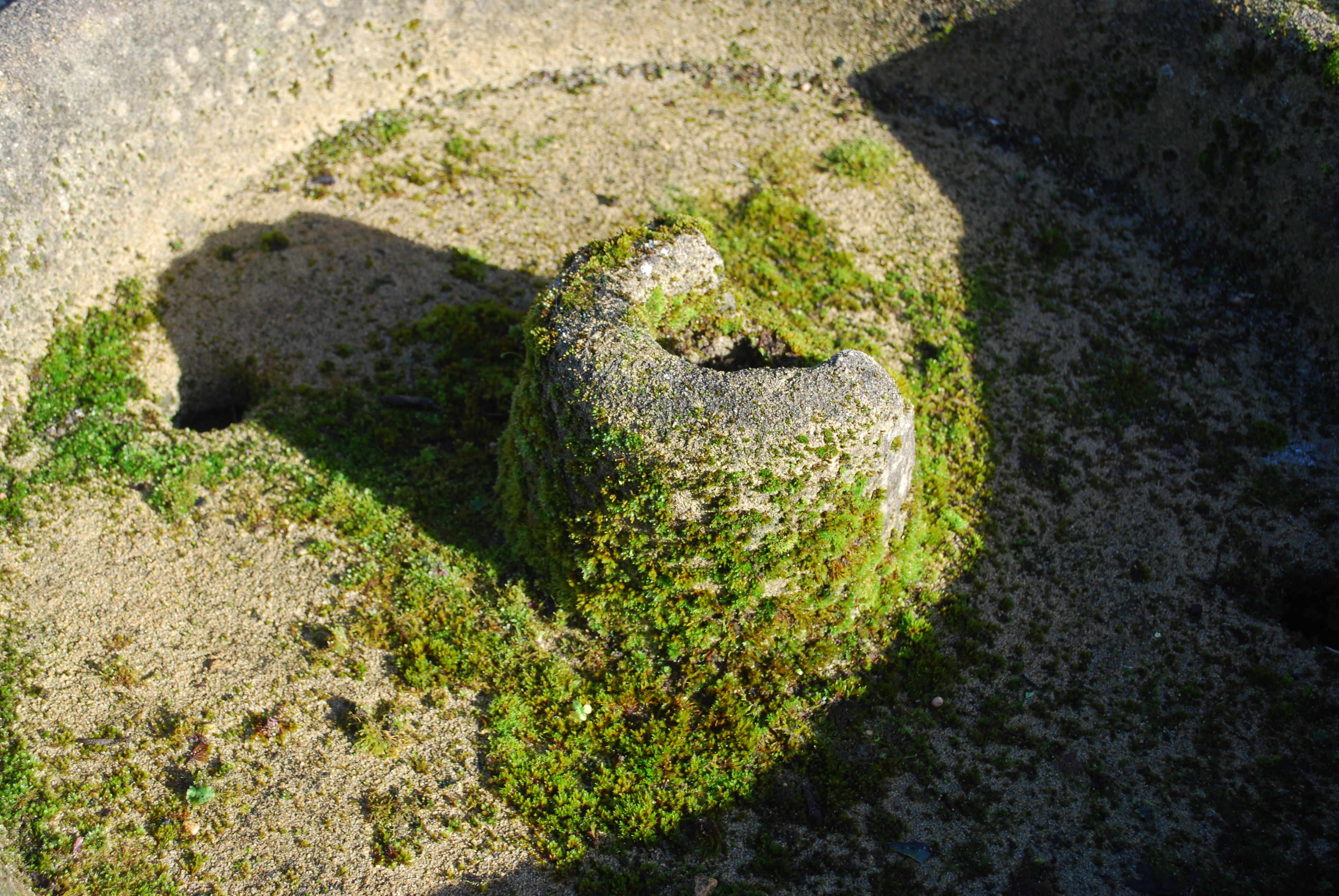 Circular (mexican hat) trough Classics Reclamation