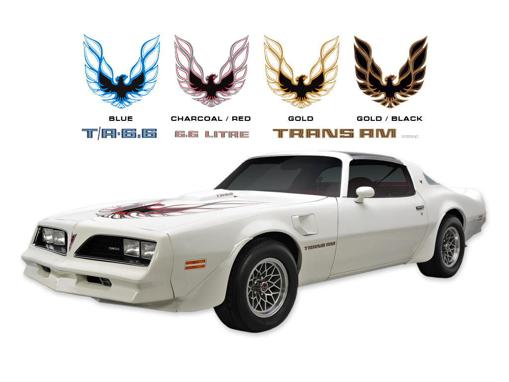 DECAL KIT CHARDRED TRANS AM 78