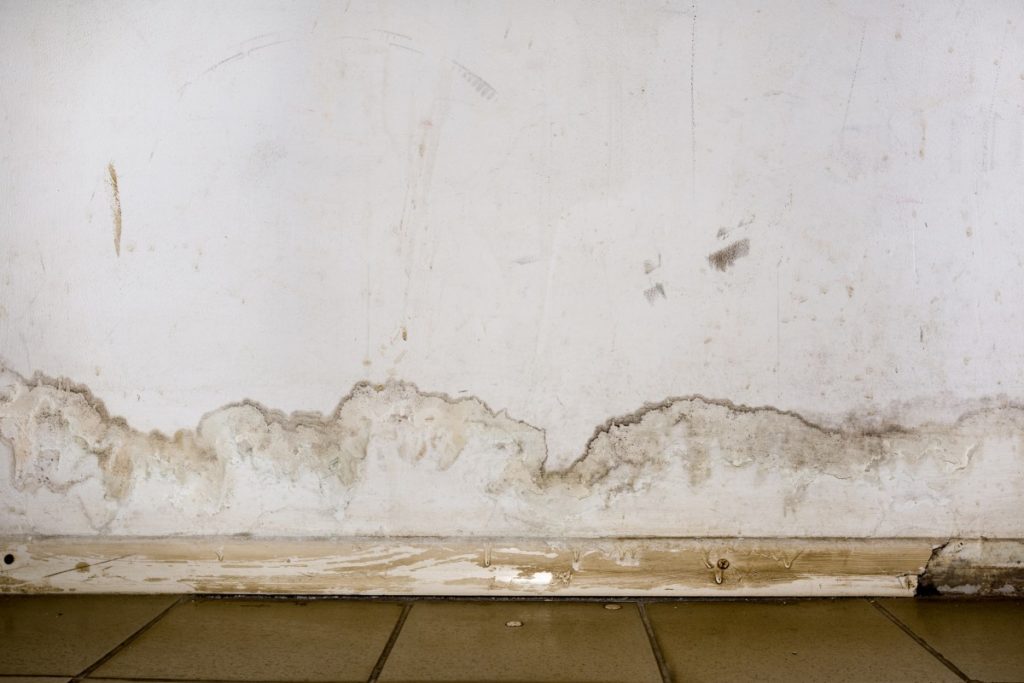 Signs to Notice For When Detecting Water Damage to your Walls Classic
