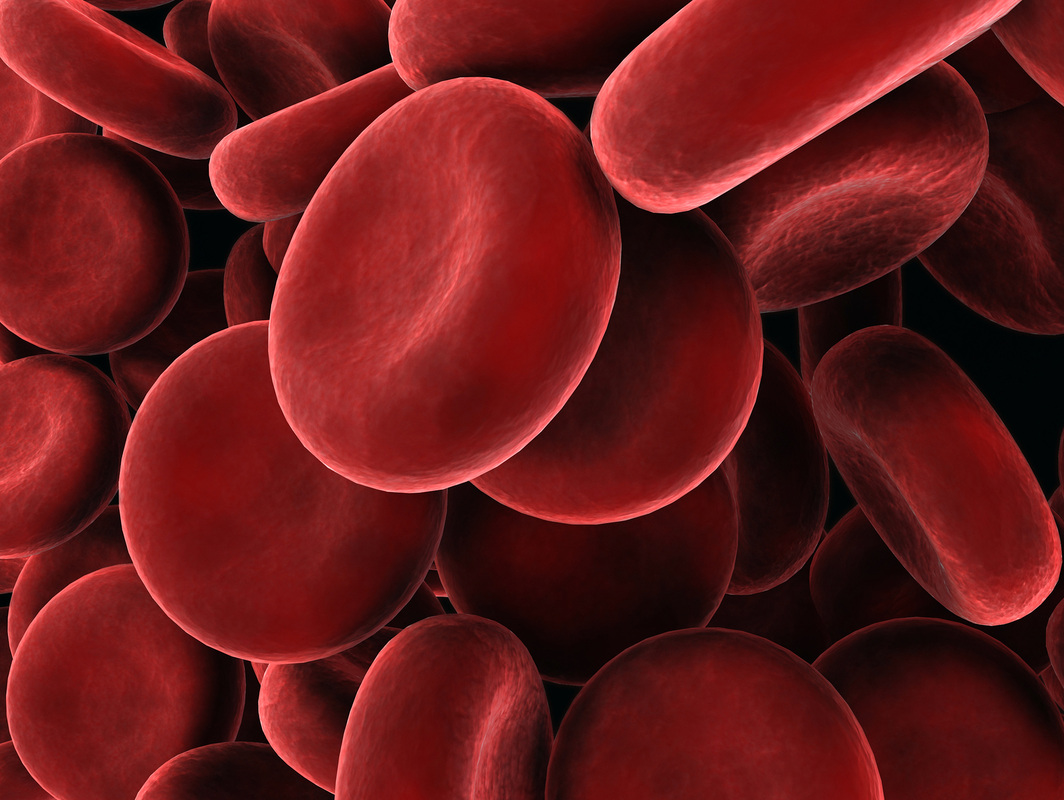 Is Blood A Homogeneous Mixture slidedocnow