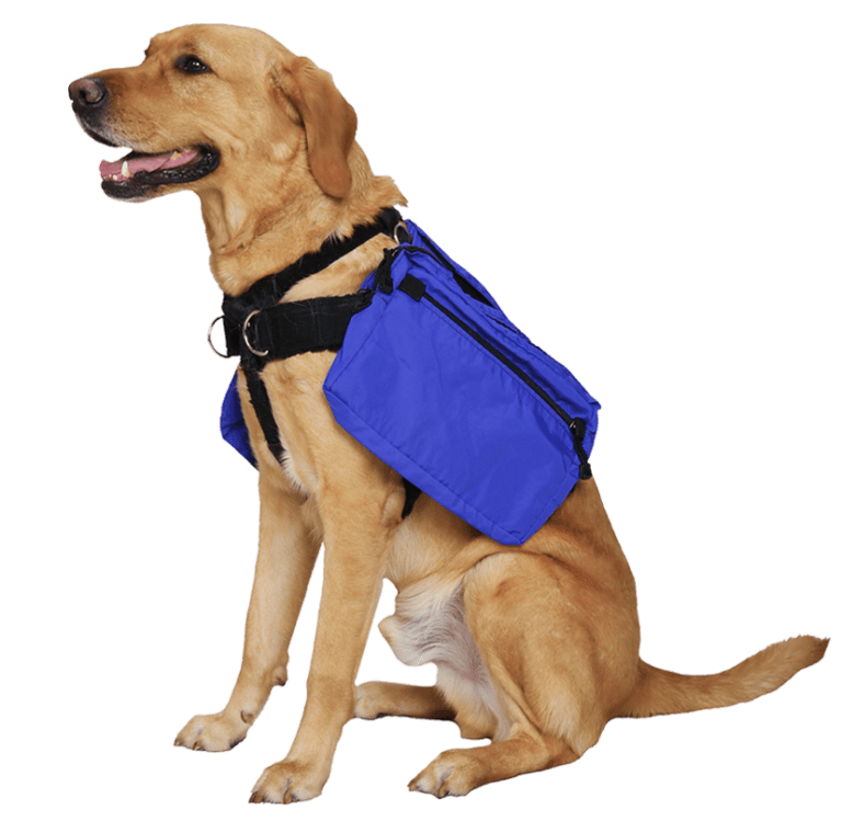 Home Classi Products