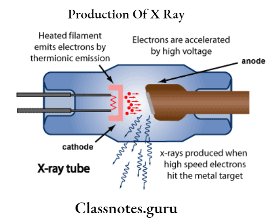 Production Of X Ray Long And Short Essays - Class Notes