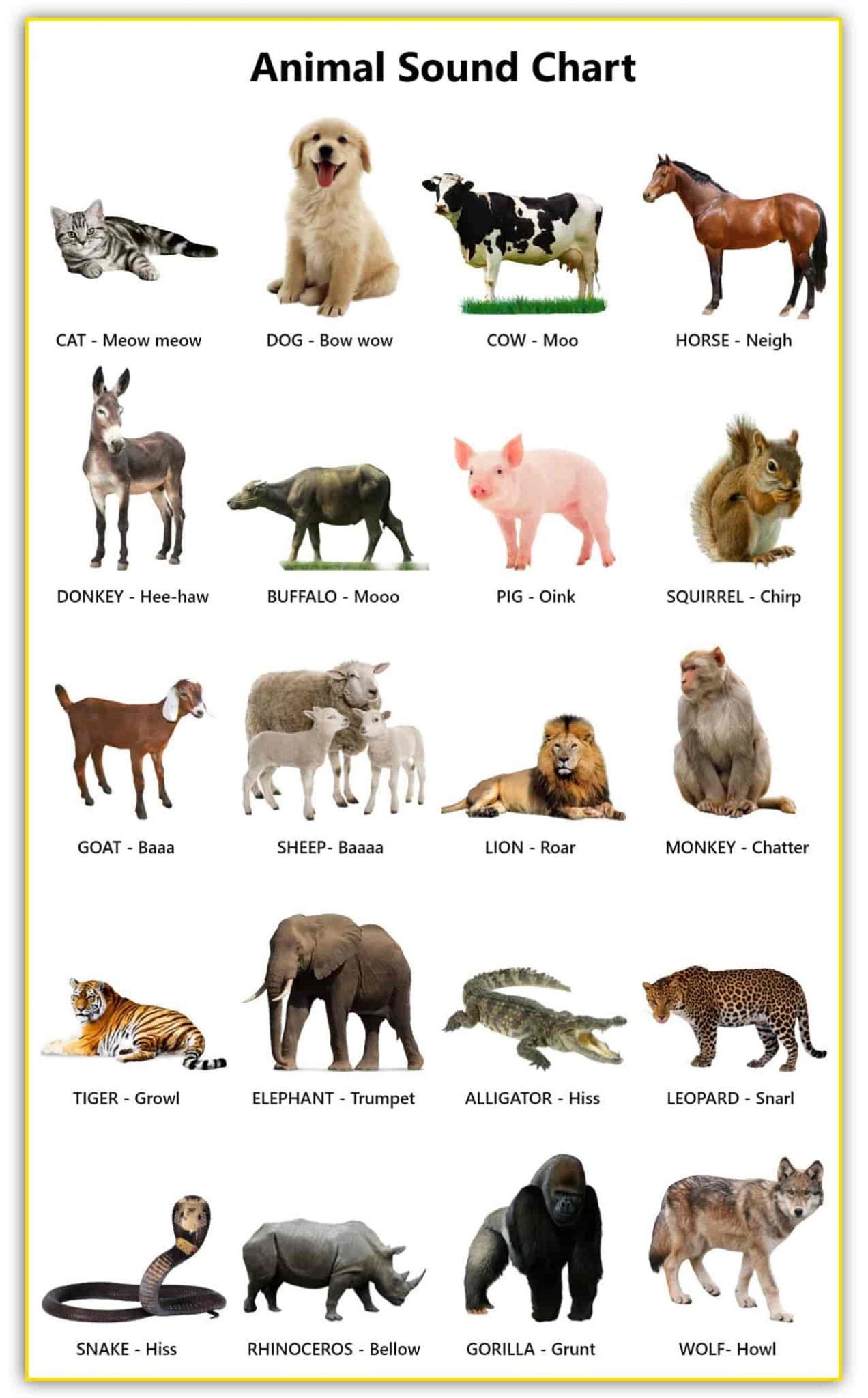 Cries of Animals English, Name Place Animal Things