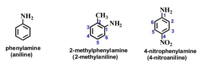 Nomenclature of Simple Aromatic Compounds Chemistry, Class 11