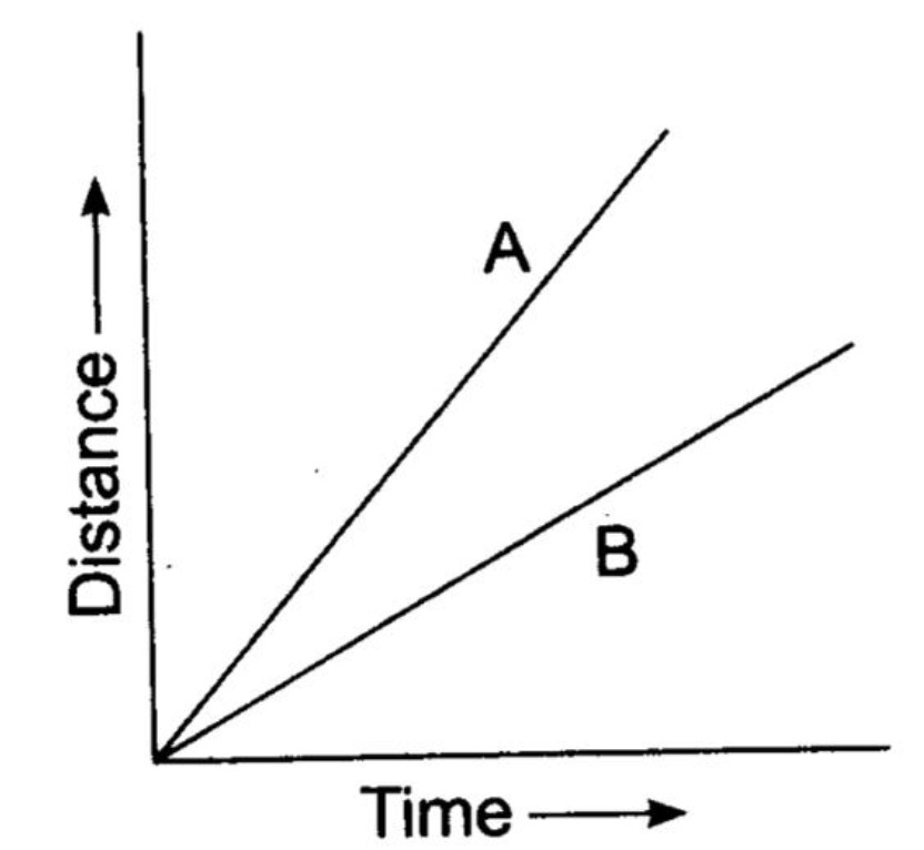 Graphical Representation of Motion Class 7, Motion and Time, Science