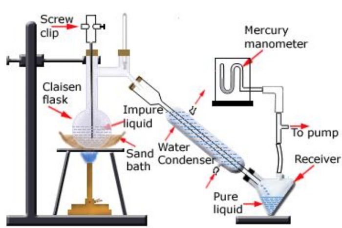 Purification Of Organic Compounds Chemistry, Class 11, Organic