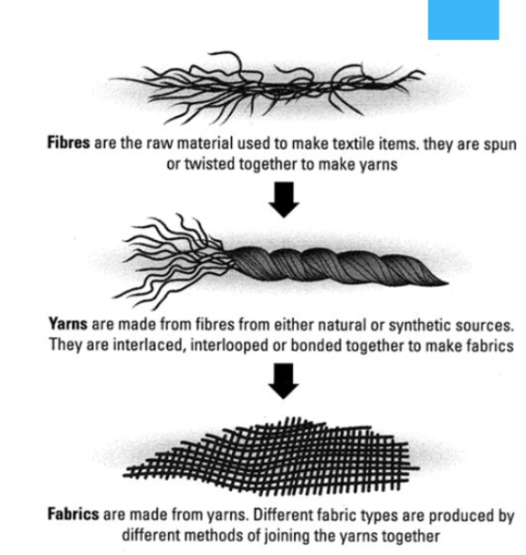 Fibres Class 6, Fibre To Fabric