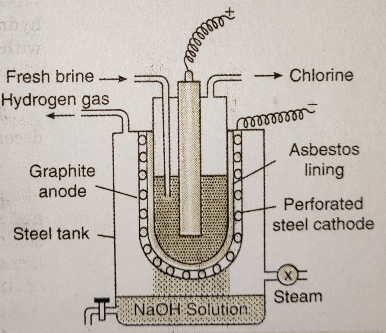 Chlorine Chemistry, Class 12, The pBlock Elements