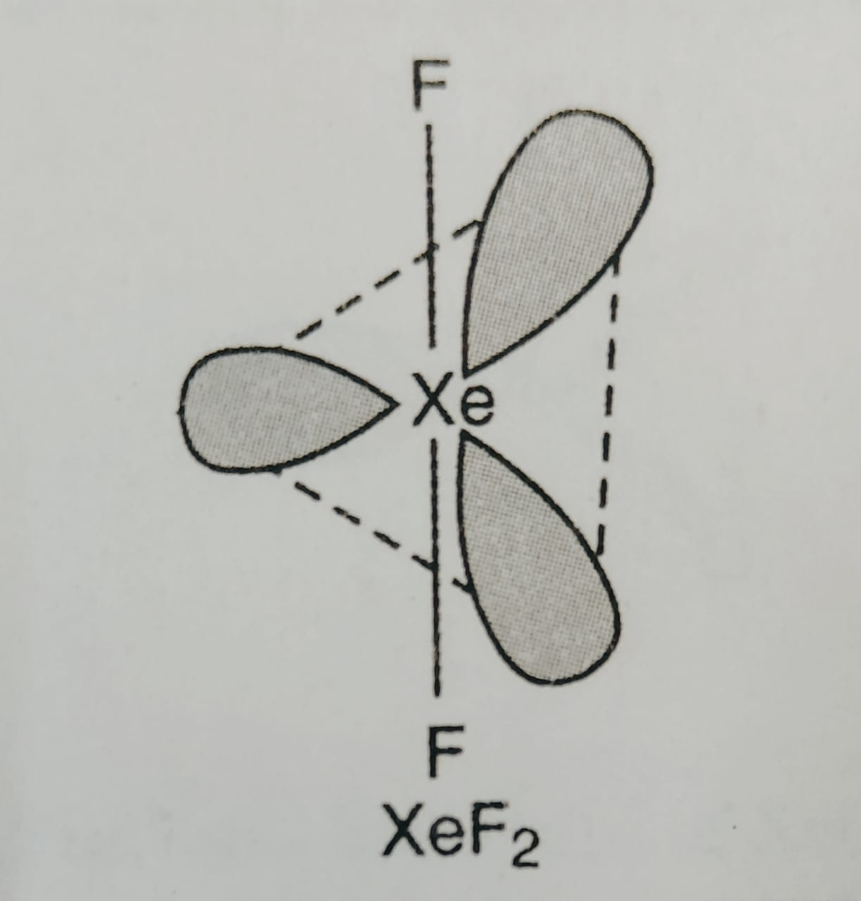 Compounds of Xenon and uses of Noble Gases Chemistry, Class 12, The pBlock Elements