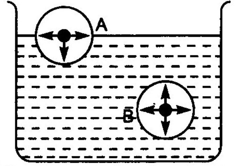 Surface Tension Chemistry, Class 11, States of Matter