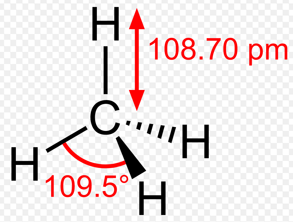 Shapes Of Simple Organic Compounds Chemistry, Class 11, Organic