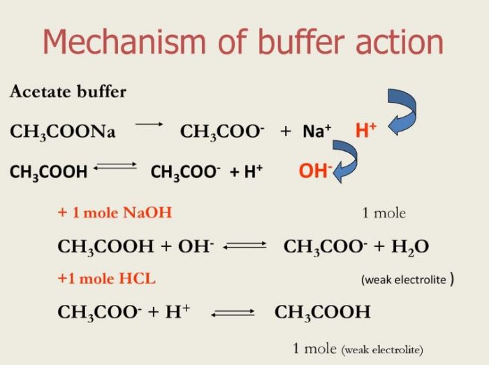 How Do Buffers Work Chemistry at Felix Balch blog