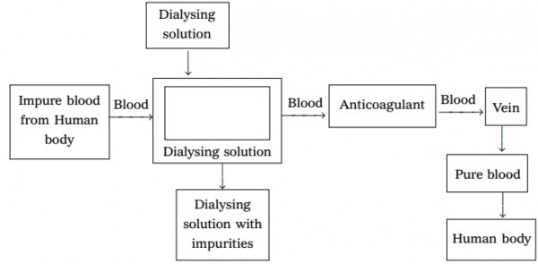 Dialysis Diagram -Class 10 - CBSE Class Notes Online - Classnotes123