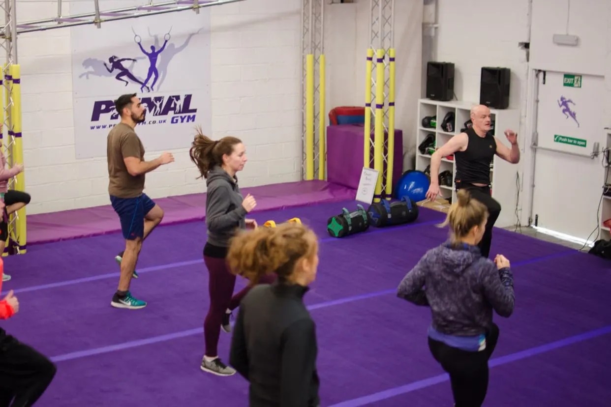 Primal Strength — Calisthenics/Body Weight Training at Primal Gym